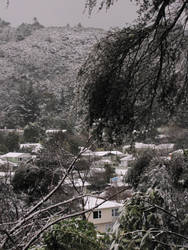 blanketed valley