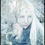 Winter Shaman