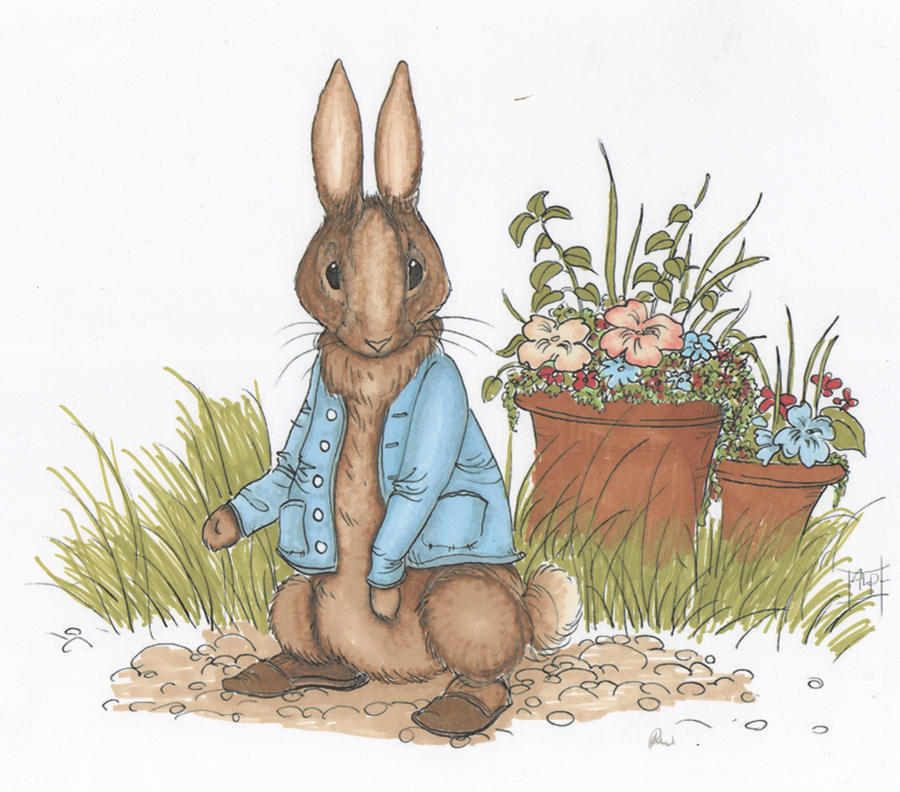 Peter Rabbit by Everild-Wolfden on DeviantArt
