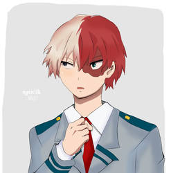 Todoroki Shouto