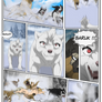GNK - Ch 5 Page 15