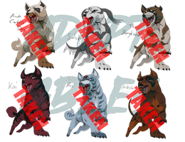 NEW GINGA PAYPAL ADOPTABLES - CLOSED