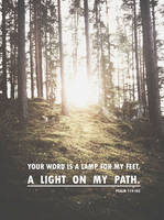 PSalm 119:105