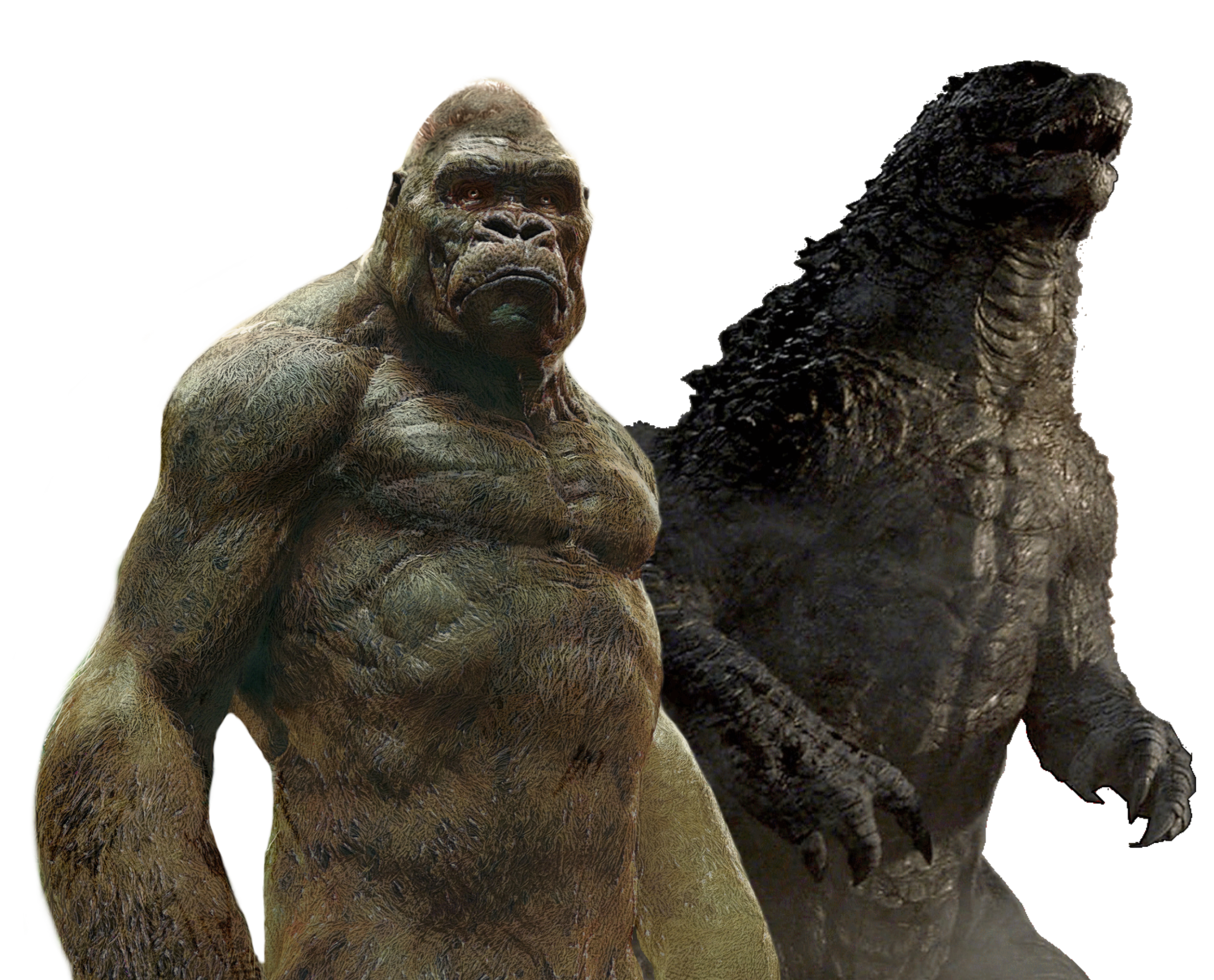 Кинг конг как разновидность обезьяны. Годзилла и Конг. Годзилла и Кинг Конг. King Kong vs Godzilla vs. Кинг Конг остров черепа.