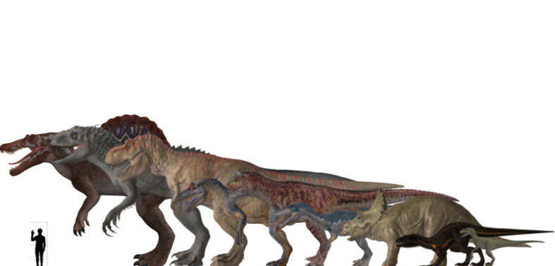 Jurassic World Evolution Dinosaur Height Chart by SuperNathan10002 on DeviantArt