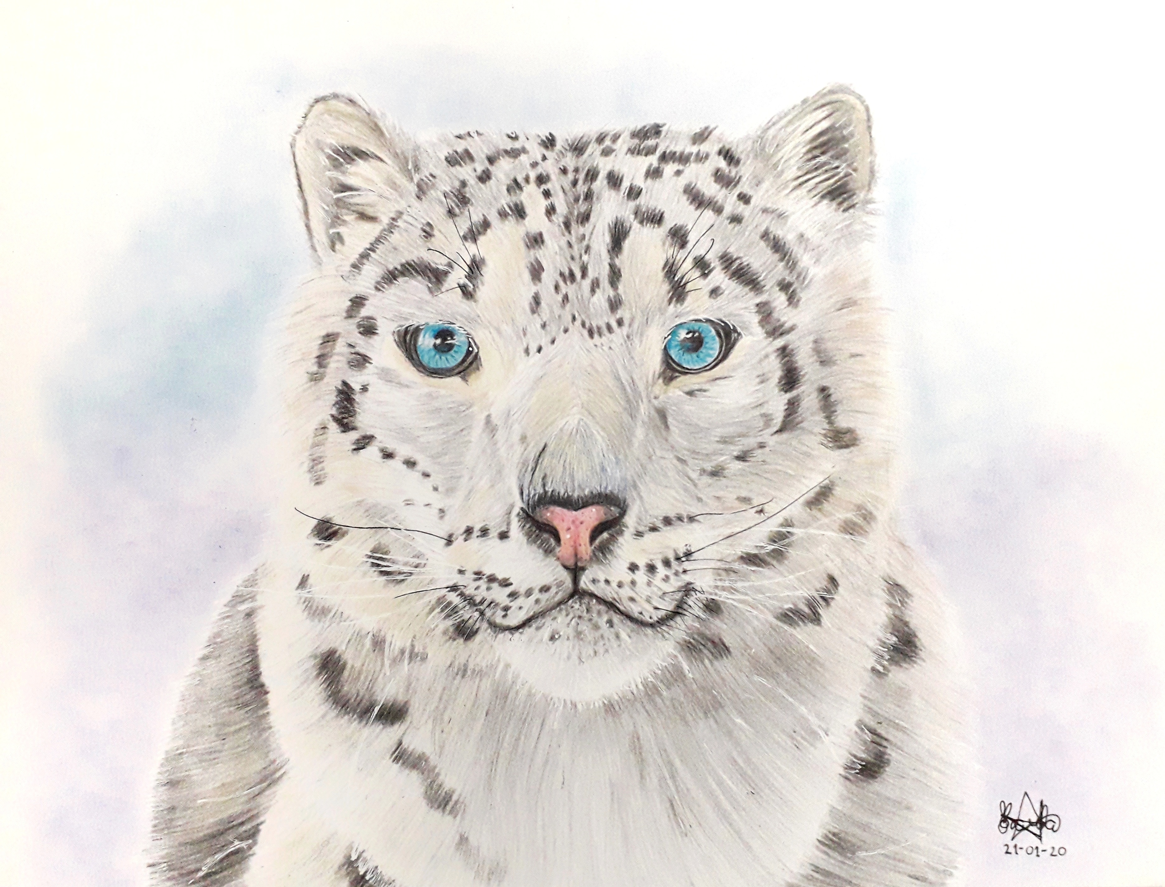 Leopardo de las nieves by KarlaxyMC on DeviantArt