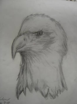 Eagle