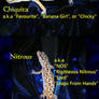 New Minions - Leopard Geckos