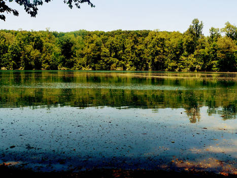 Lake Grubb 8