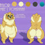 Reference Sheet -Taylor