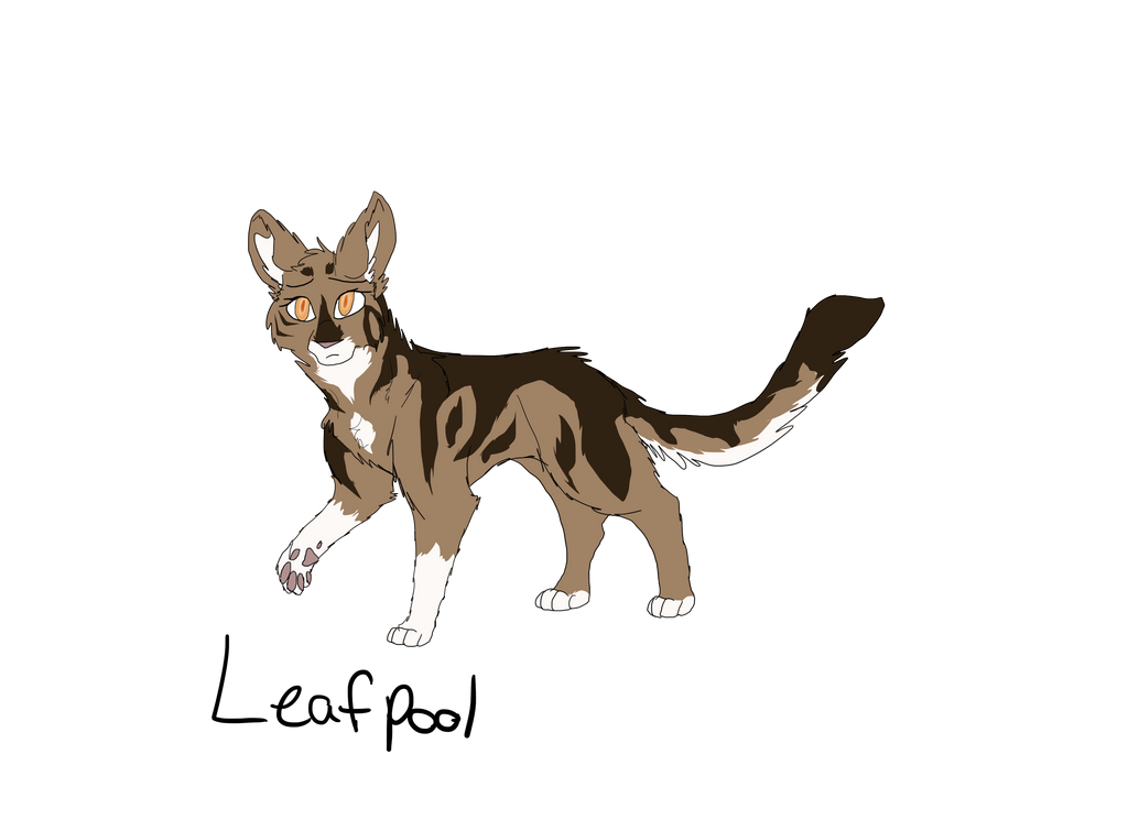 Leafpool 100 Warrior Cats Challenge 9 - Leafpool by thecatnip10 on DeviantArt
