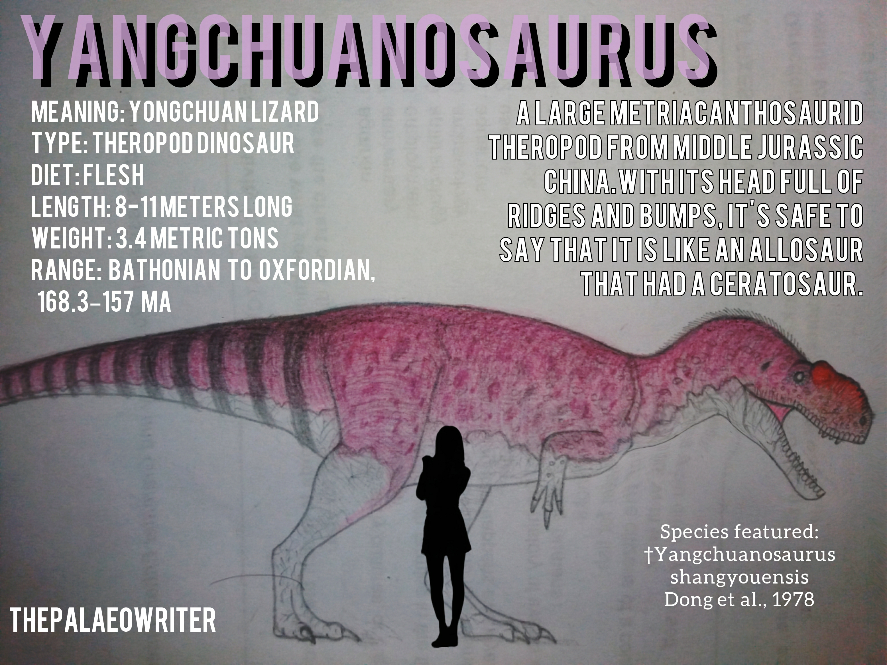 Yangchuanosaurus by ThePalaeoWriter by ThePalaeoWriter on DeviantArt