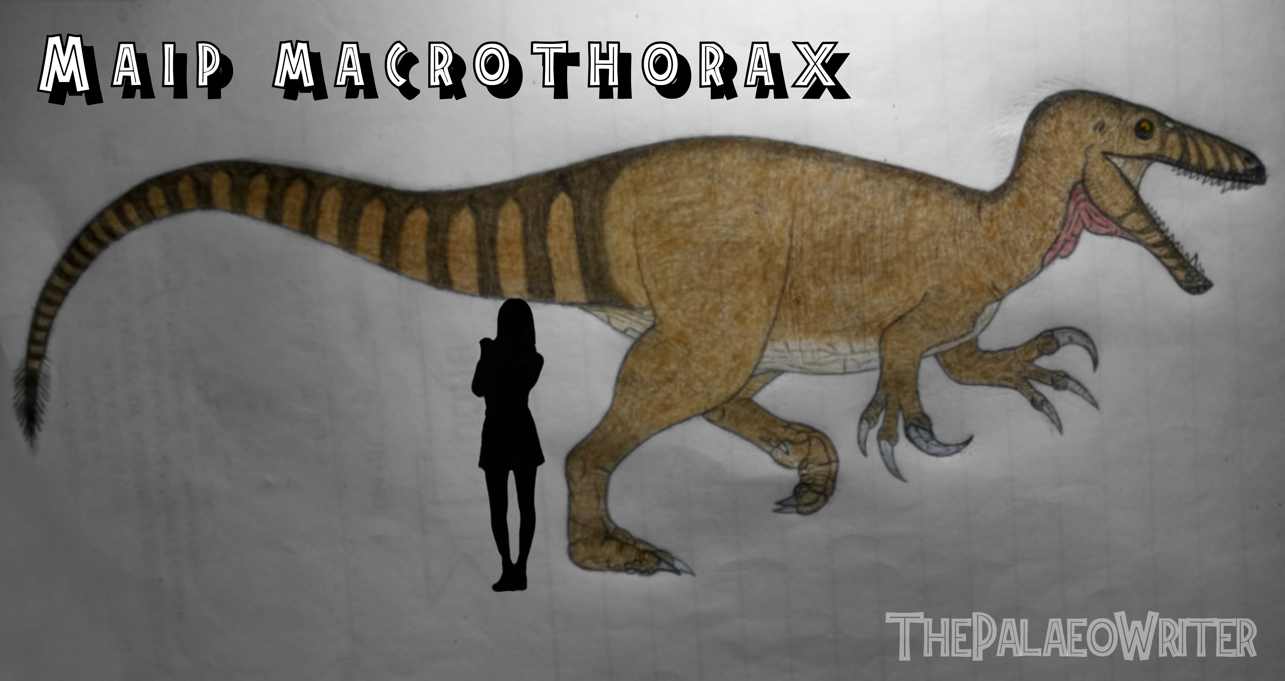 Maip macrothorax by ThePalaeoWriter by ThePalaeoWriter on DeviantArt