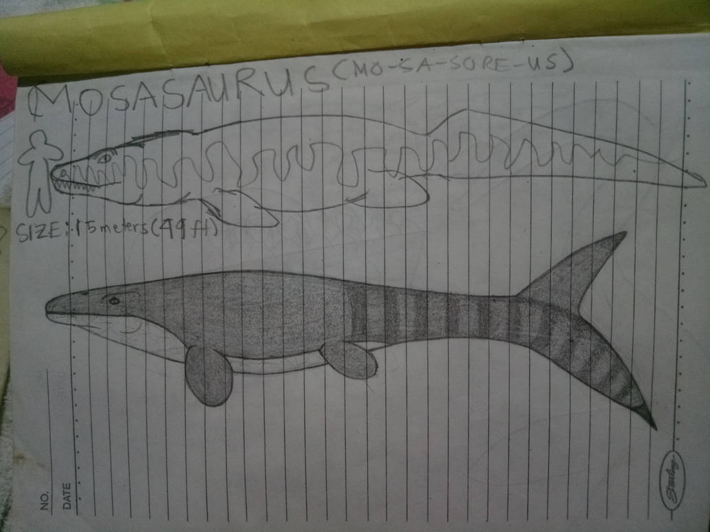 Mosasaurus Art Evolution of ThePalaeoWriter by ThePalaeoWriter on ...