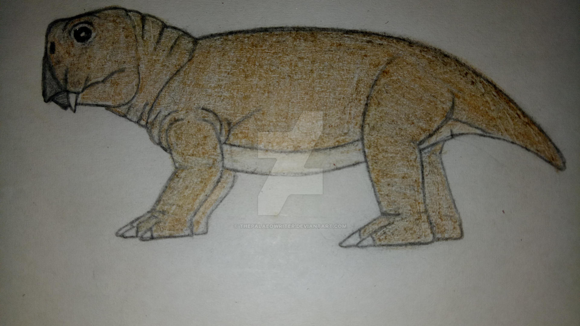 Draw Lystrosaurus Lystrosaurus by ThePalaeoWriter by ThePalaeoWriter on DeviantArt