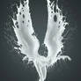 FALLEN ANGELS - AurumLight - 2016 MILK Calendar