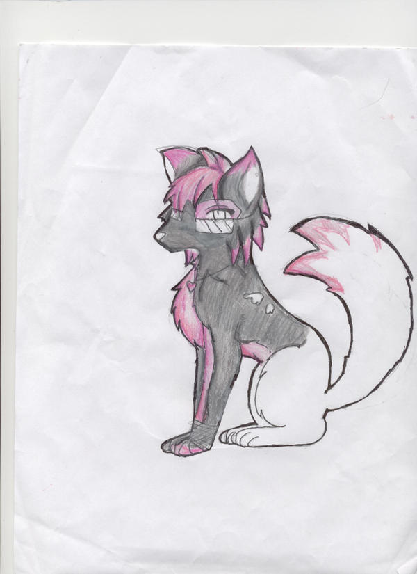 Wolf by Jrock-izm on DeviantArt