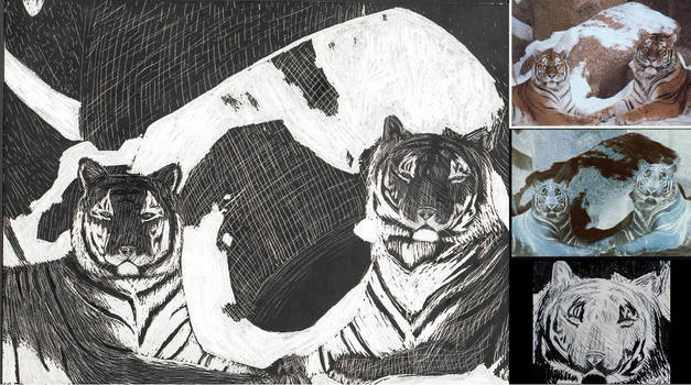 Scratch Board Tigers