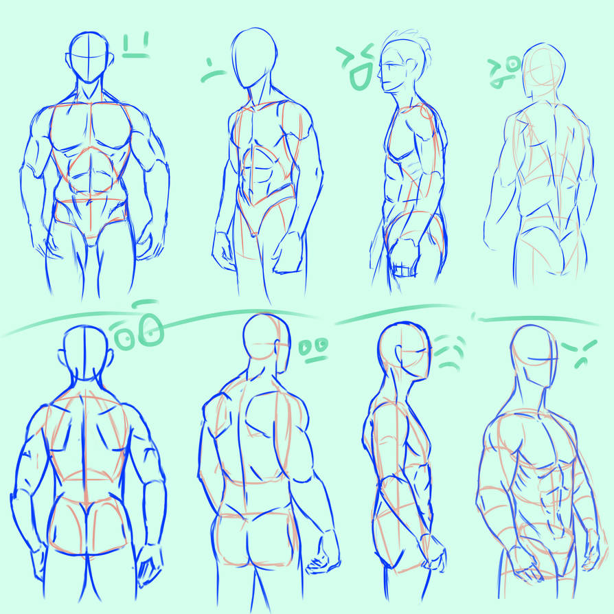male pose study 01 by inferno0droga on DeviantArt
