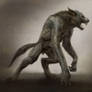 Werewolf Concept