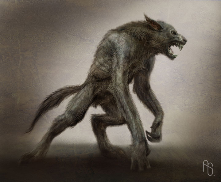 Werewolf Concept