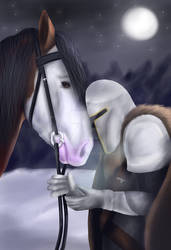 Sir Audryn and horse