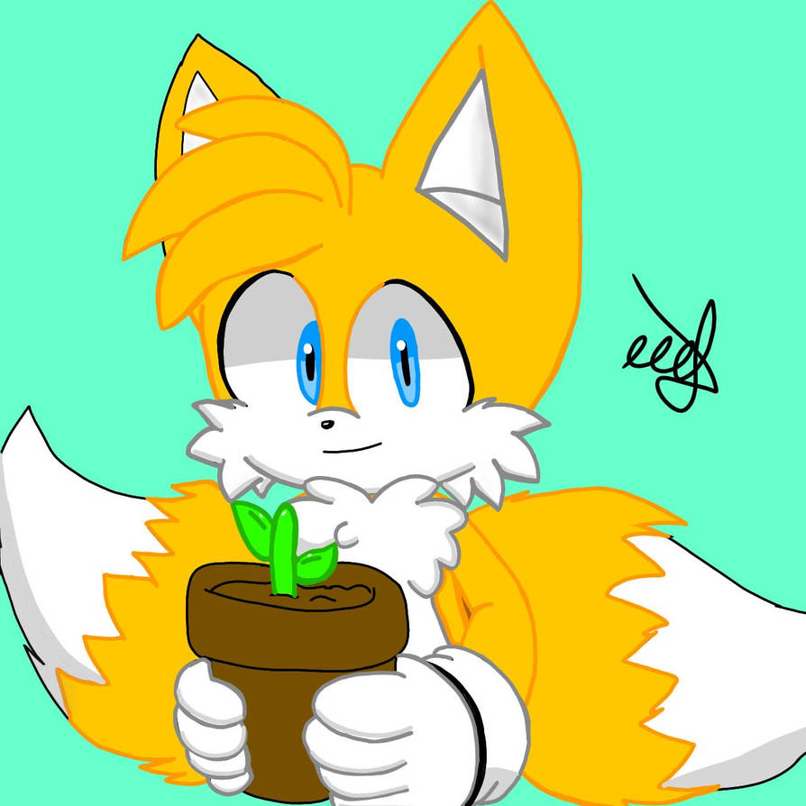 Tails Artist Tails the Fox /fan art by Yatsuric on DeviantArt