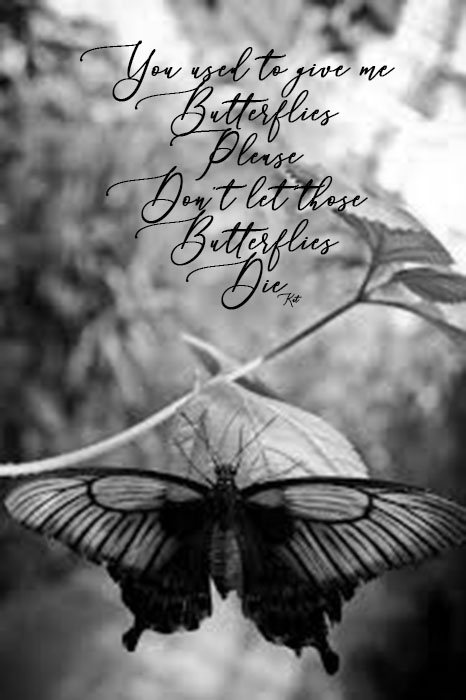 You Used To Give Me Butterflies Quote By Katzad Imvu On Deviantart You Used To Give Me Butterflies Quote By Katzad Imvu On Deviantart