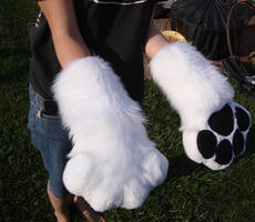 Puffy Paws!