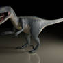 Velociraptor Render