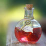 Elixir of Love