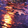 Autumn Puddle