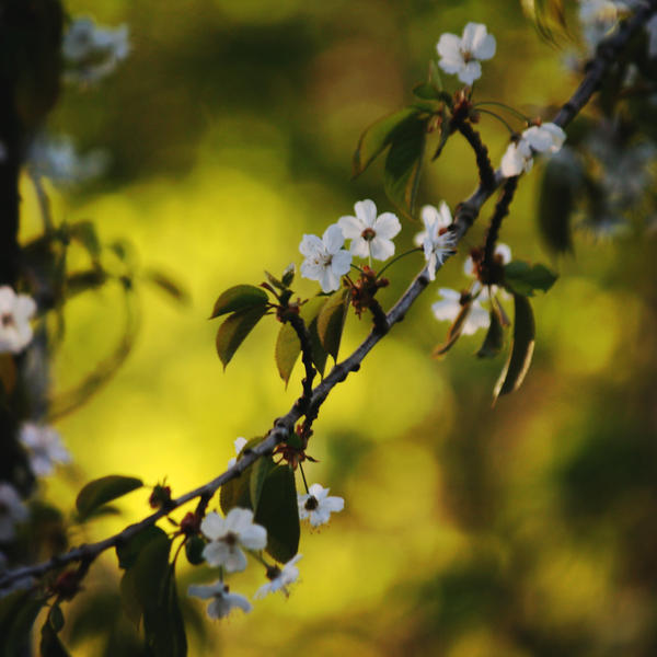 A Day in May