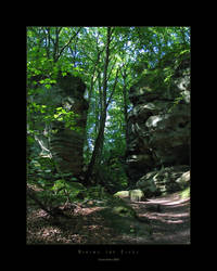 Hiking the Eifel v3