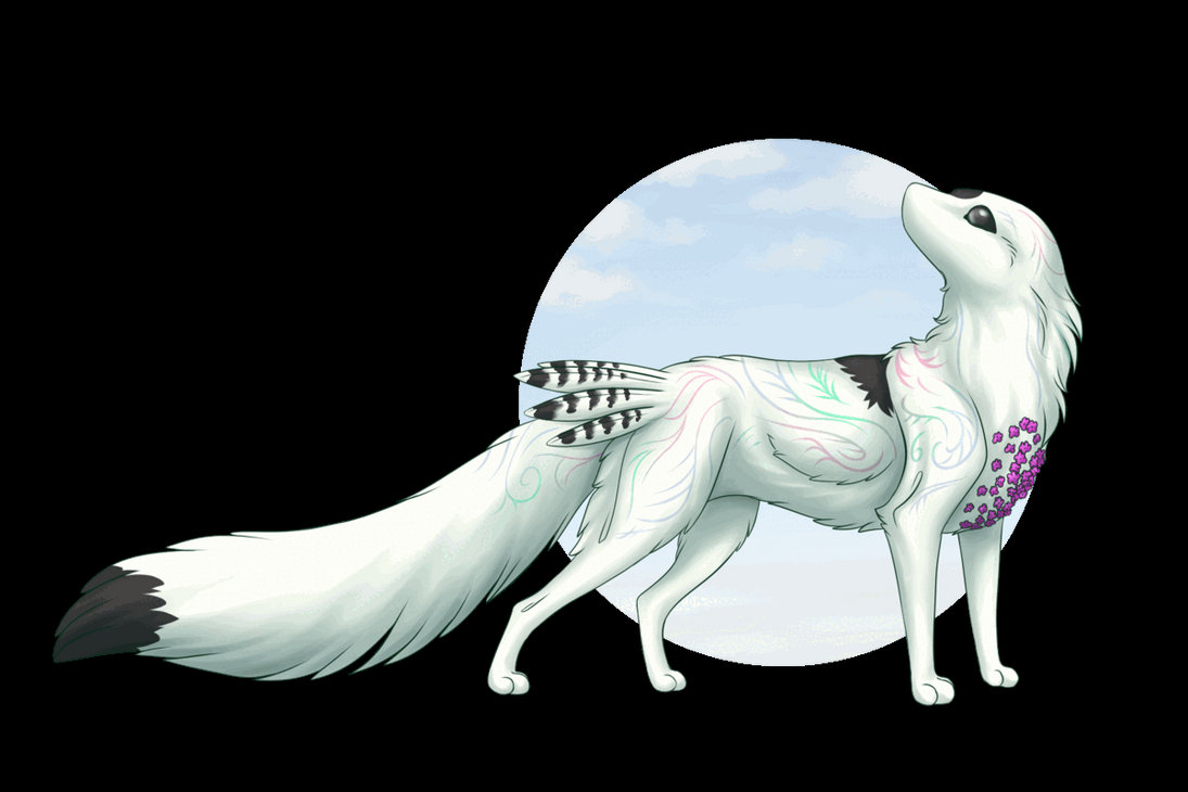 Noli by rowy16 on DeviantArt