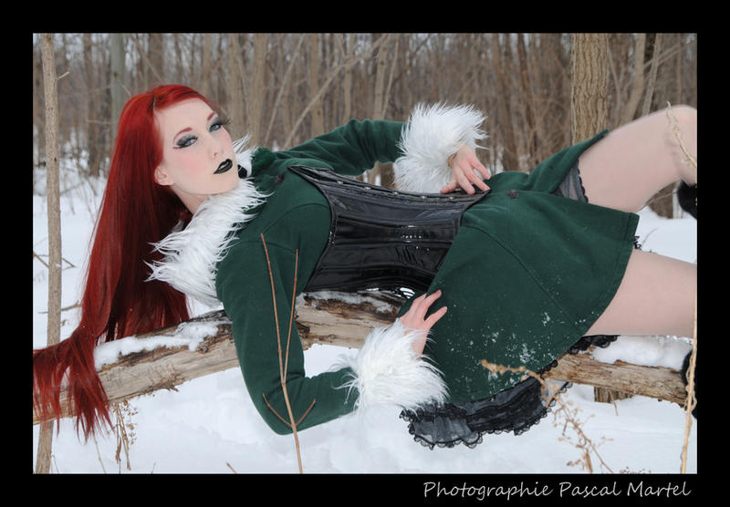 snow fairy 8