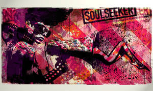 THE SOULSEEKER