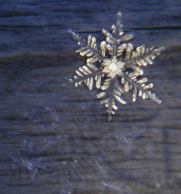 Snowflake - Winter Gold