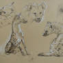 Spotted hyenas