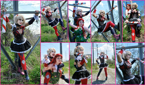 Harley Quinn Arkham Knight Collage #2