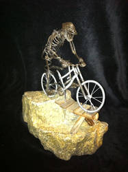 The Mountain Biker