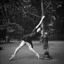 Ballerina and the Lamp Post Deviation