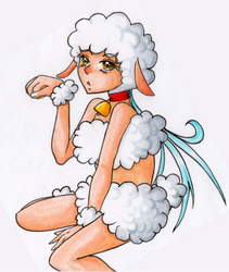 Enya the Sheep