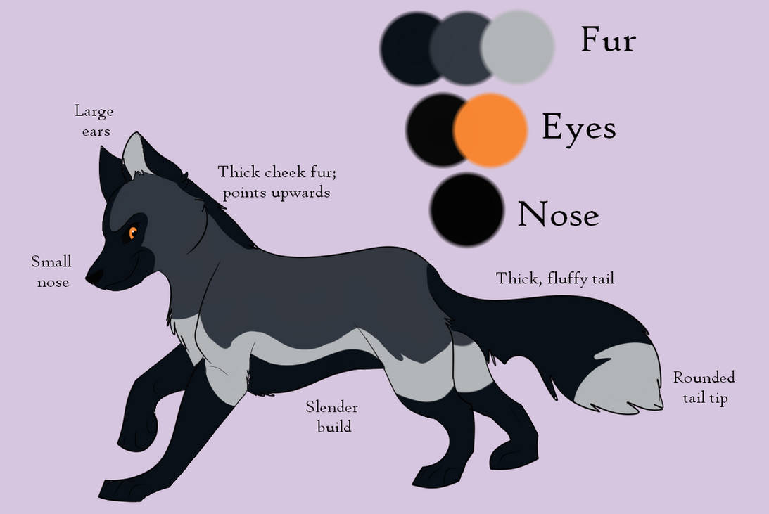 Silver Fox Design by LilacLycaon on DeviantArt