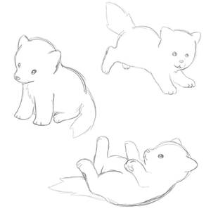 Dog sketches