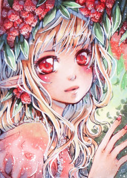 aceo 148 Lychee girl