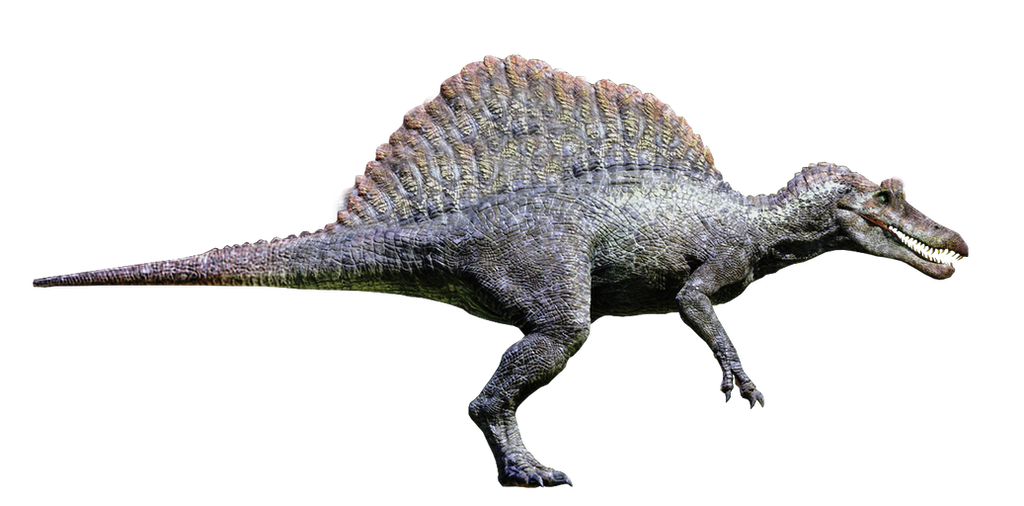 JP III Spinosaurus Revisited