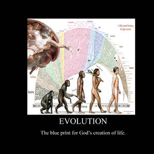 Evolution God's Blueprint