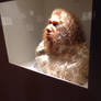 Houston NHM: Neanderthal/Nephilim