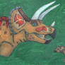Triceratops and Young